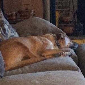 Meet your Posher, Sandra